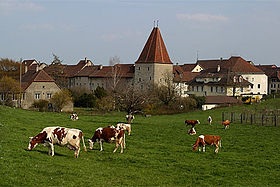 Wiedlisbach Nordwest